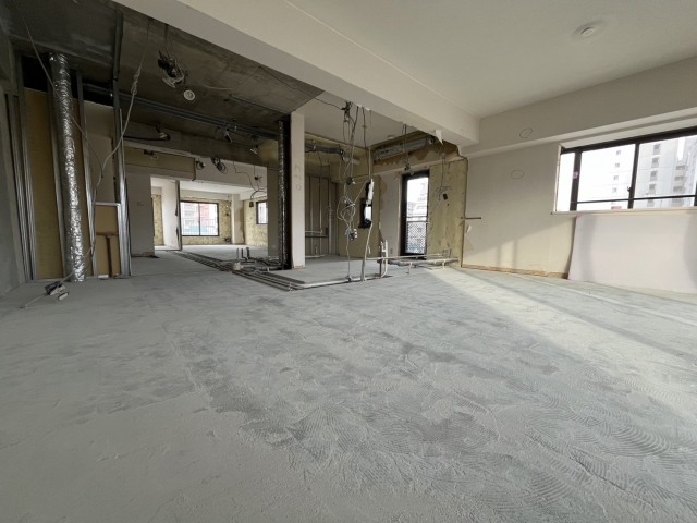 スケルトン状態の画像