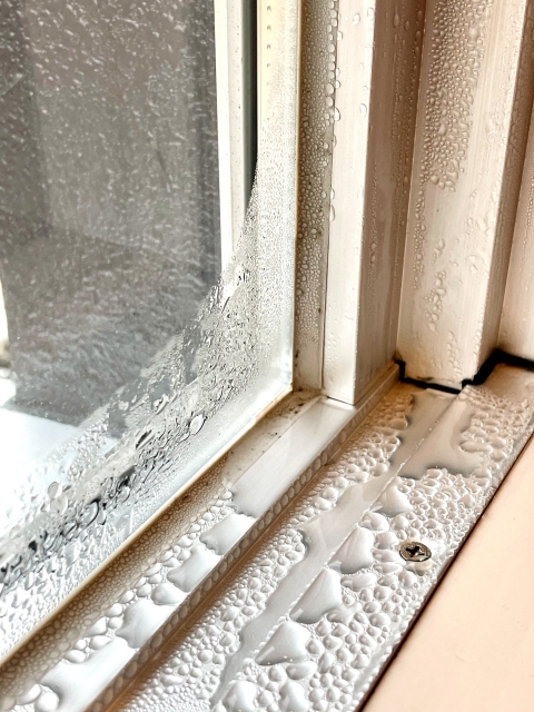 結露した窓